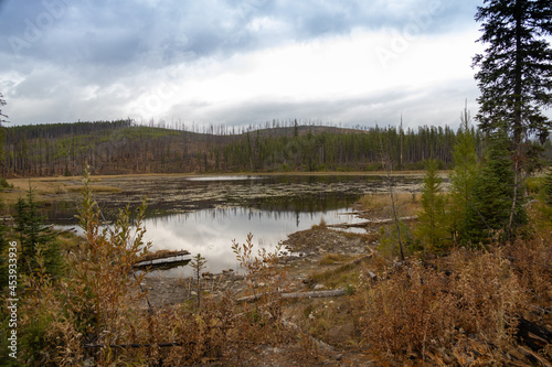 Howe Lake at Glacier National Park  Montana