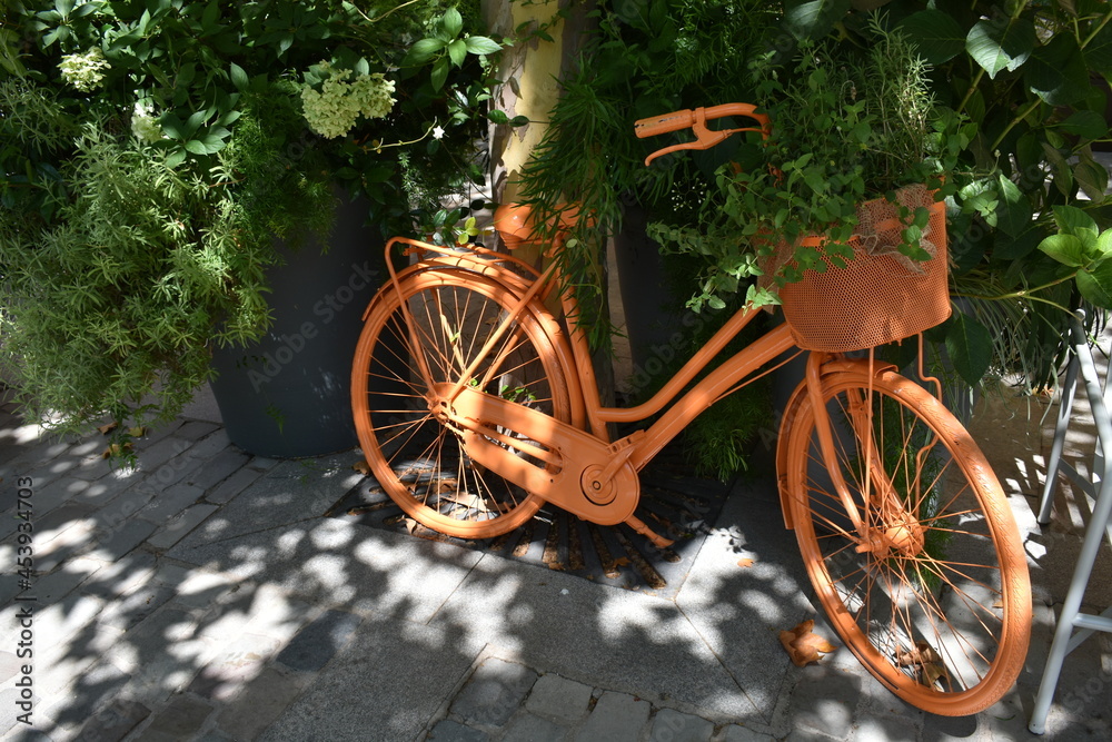 Bici naranja con hojas verdes