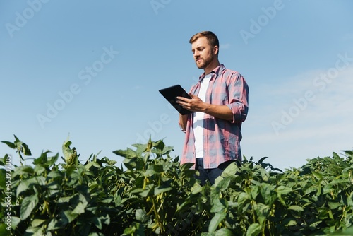 Young farmer in soybean fields