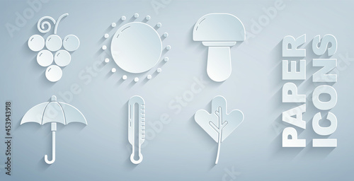 Set Meteorology thermometer, Mushroom, Umbrella, Leaf leaves, Sun and Grape fruit icon. Vector
