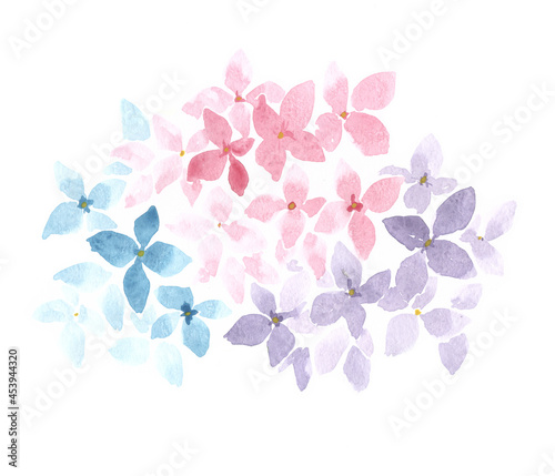 set of watercolor hydrangea flowers