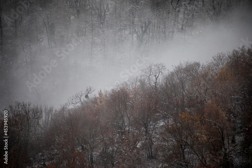 Winter trees in mountains covered with fresh snow. Beautiful landscape with branches of trees covered in snow. Mountain road in Caucasus. Azerbaijan