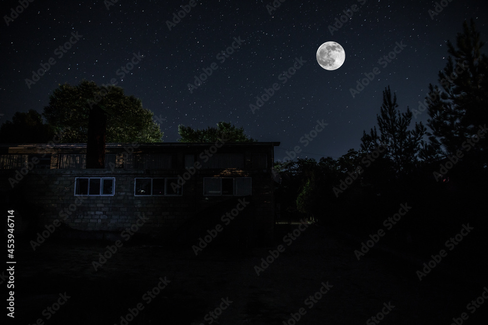 Naklejka premium Old house with a Ghost in the forest at night or Abandoned Haunted Horror House in fog. Old mystic building in dead tree forest. Trees at night with moon. Surreal lights.