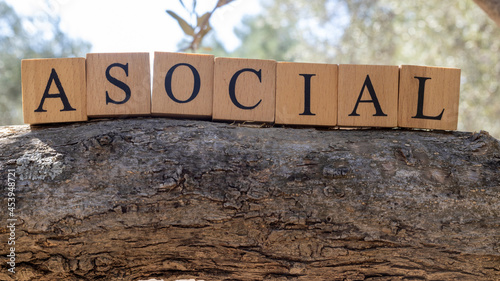 Word Asocial created from wooden cubes. Photographed on the tree.. photo