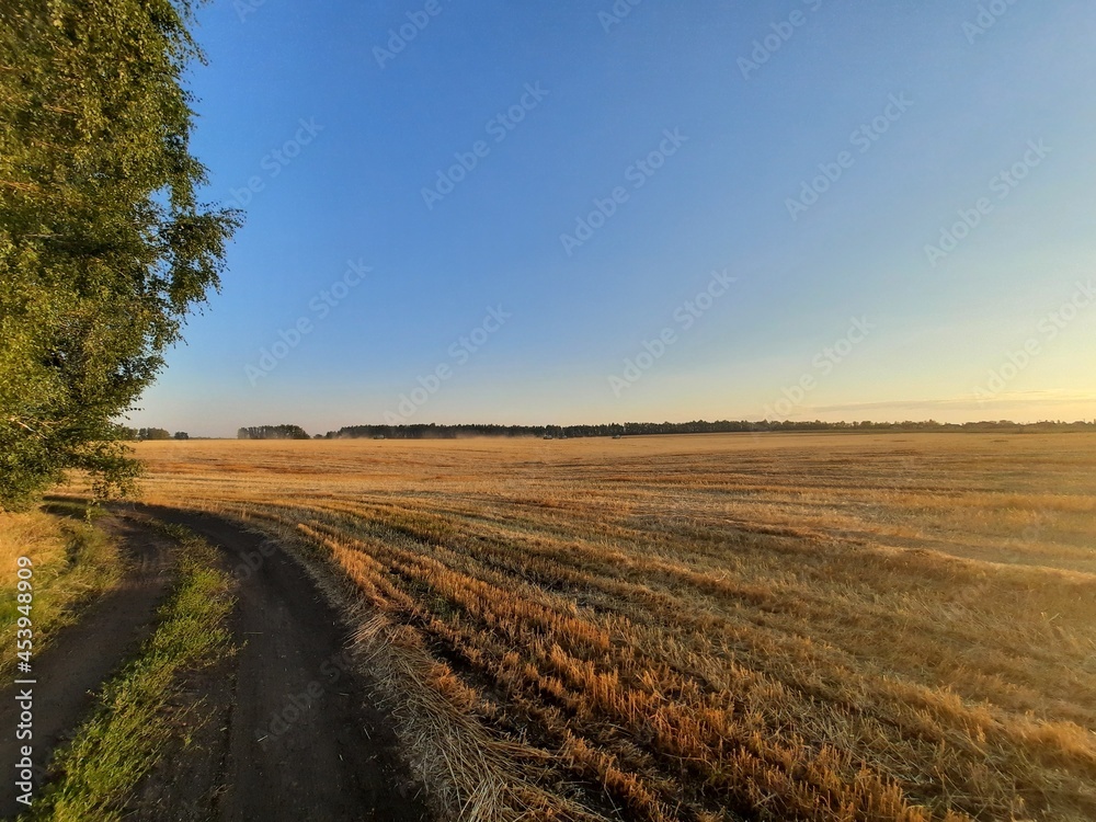 landscape with a road