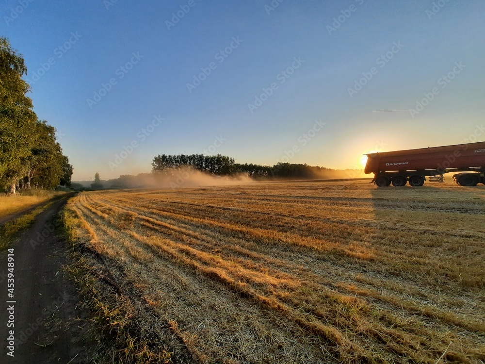 Fototapeta premium landscape with bales