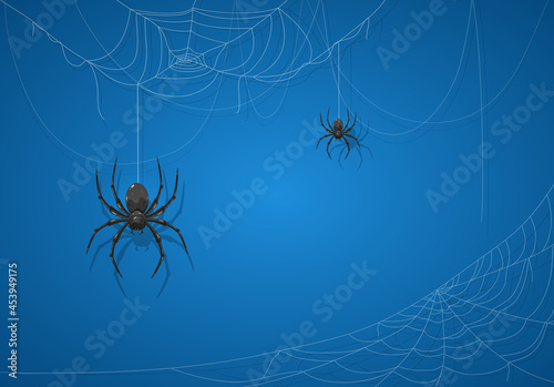 Black Spider on Blue Halloween Background