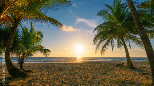 Photography Beach autumn vacations concept background Nature frame with coconut palm trees on the beach with sun light flare beautiful sunset or sunrise landscape background