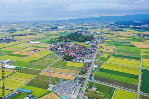 Photography 石川県能美市の自然の風景をドローンで撮影した空撮写真 Aerial photos of natural scenery in Nomi City, Ishikawa Prefecture, taken with a drone