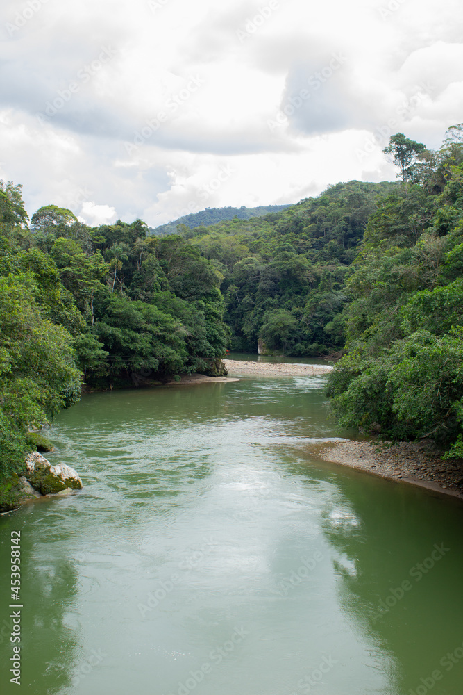 green river with trees in the colombian forest
