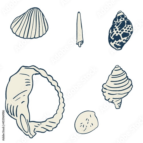海で拾った貝殻のシンプルなイラストセット・紺 photo