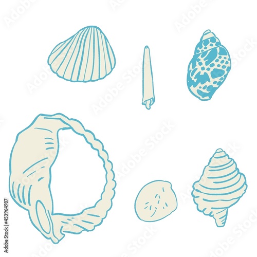 海で拾った貝殻のシンプルなイラストセット・水色