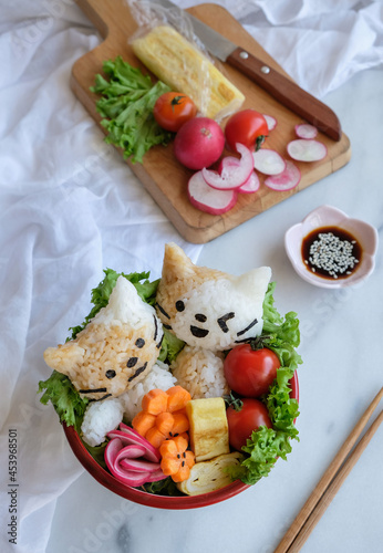 Homemade Japanese cuisine. Animated Kitten Shape Onigiri Bowl. Light meals for healthy conscious minded people. photo