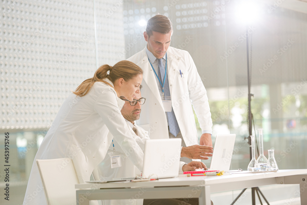 Fototapeta premium Doctors working at laptop