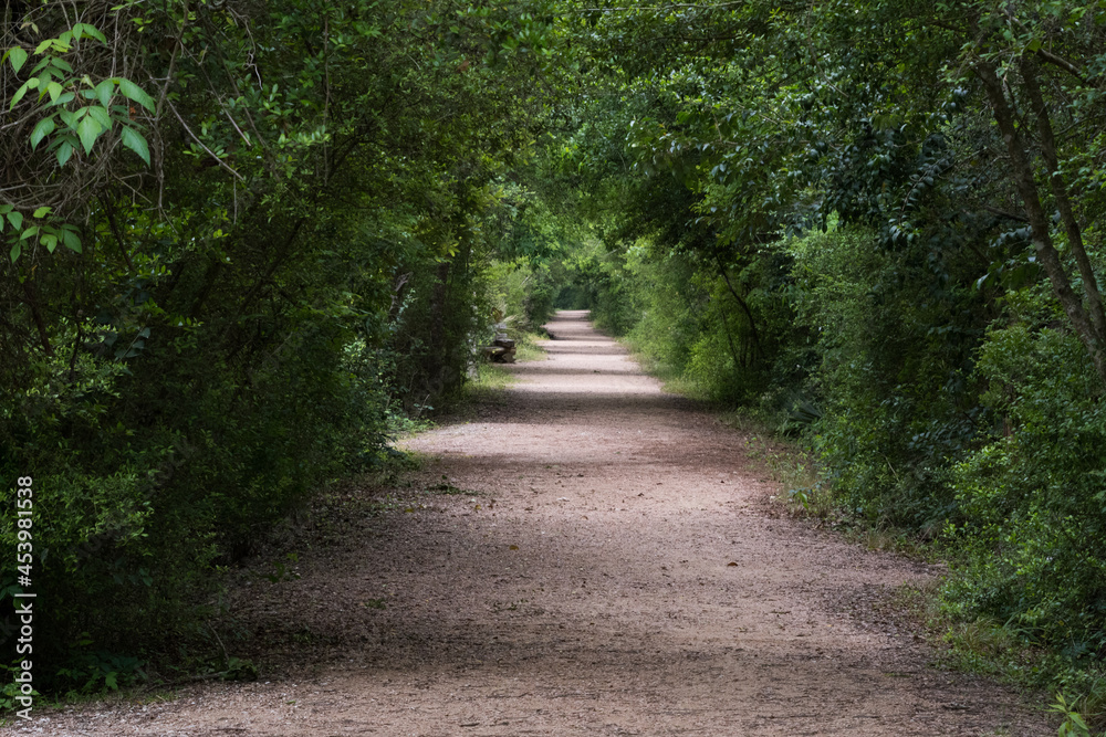 A walking path under dense vegetation disappears in the far distance.