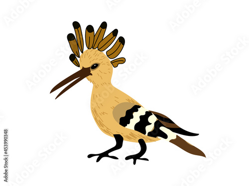 Illustration of a common hoopoe  epic Upupa  on a white isolated background