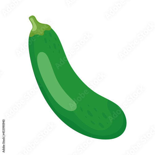 Isolated cucumber vegetable