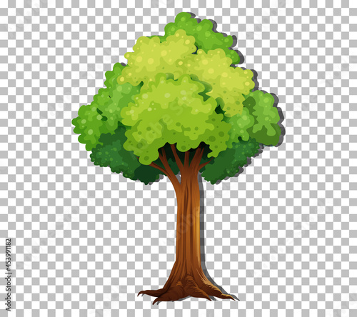 A tree isolated on transparent background