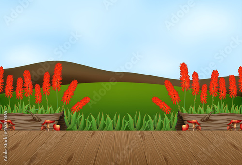 Empty nature landscape scene with blur sky background