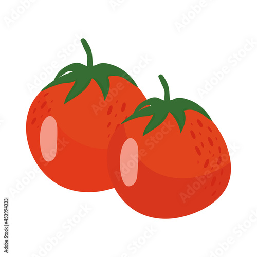 Isolated tomatoes vegetable