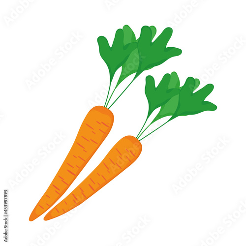 Isolated carrots vegetable