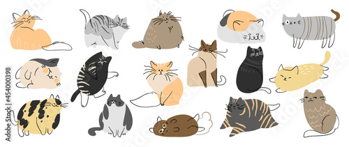 Canvas Print Cute and funny cats doodle vector set