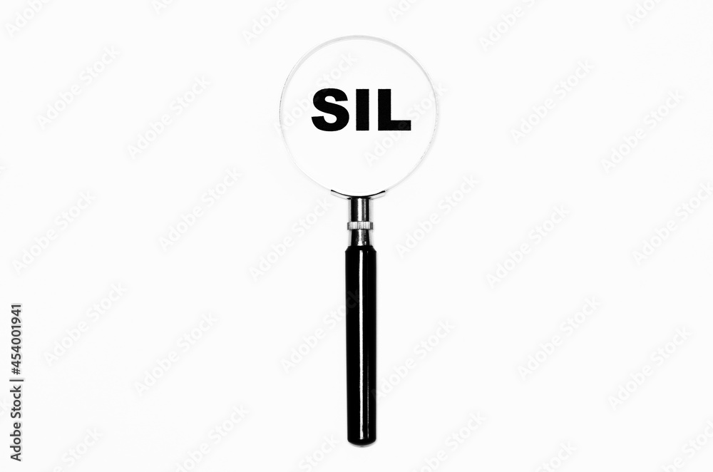SIL-Prüfung SIL-Prüfung