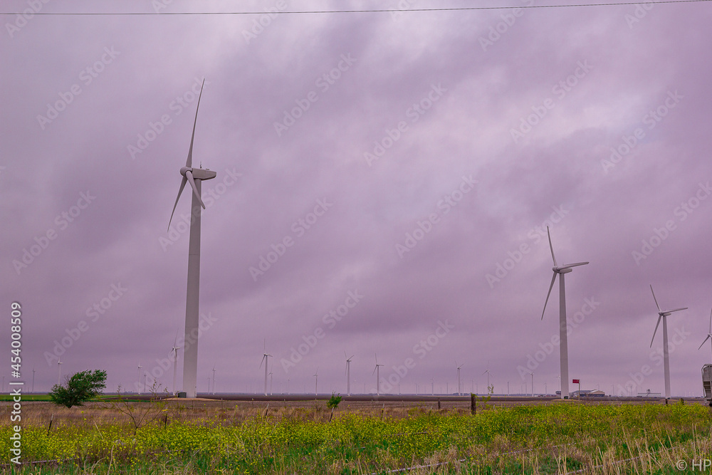 Fototapeta premium windmill 