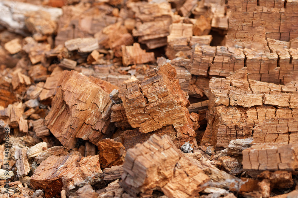 Fototapeta premium Rotted Wood background
