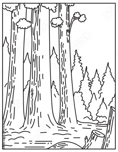 Mono line illustration of Sequoia National Park in the southern Sierra Nevada east of Visalia, California USA in retro black and white monoline line art style poster.