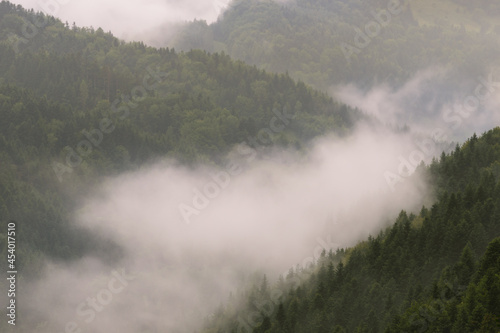 Mountain hills in fog  Beskid Sadecki  Piwniczna  Poland in the area of Poprad Landscape Park