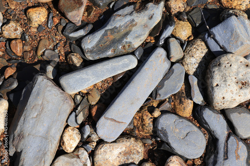 Gray oblong smooth river pebbles on the river bank at Magadan region photo