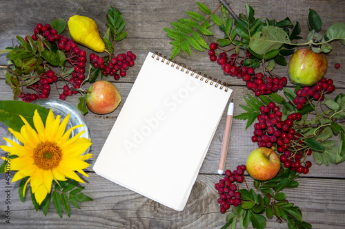 Notepad with a blank sheet on a wooden background. Still life with sunflower flowers, rowan berries and fruits.