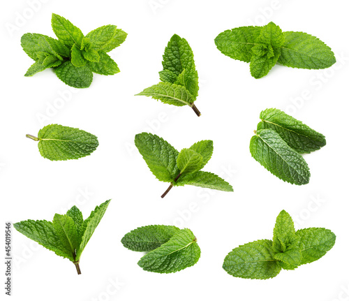 Set of fresh peppermint leaves isolated on white