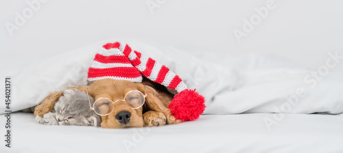 English Cocker spaniel puppy wearing eyeglasses and warm hat sleeps with cute kitten under white warm blanket on a bed at home. Empty space for text