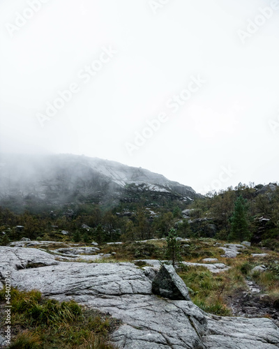 mountain landscape with fog