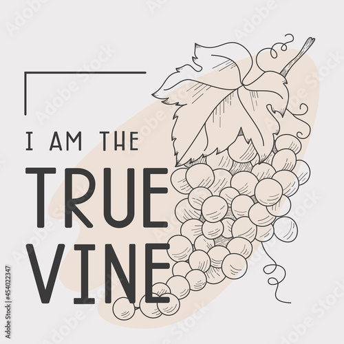 WebGrapes line art illustration with John 15:1 bible verse. Inspiring christian interior print or social media template.