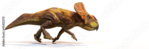 Protoceratops, running dinosaur from the Late Cretaceous period, isolated on white background photo