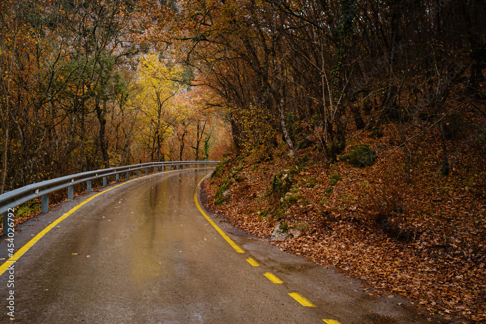 landscape autumn season in rainy day Road Travel and yellow leaves