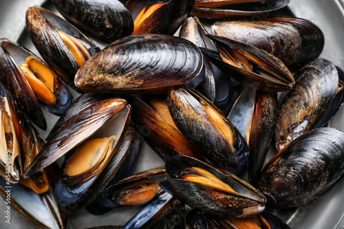 Raw mussels in plate, closeup
