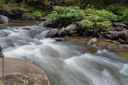 waterfall in the forest