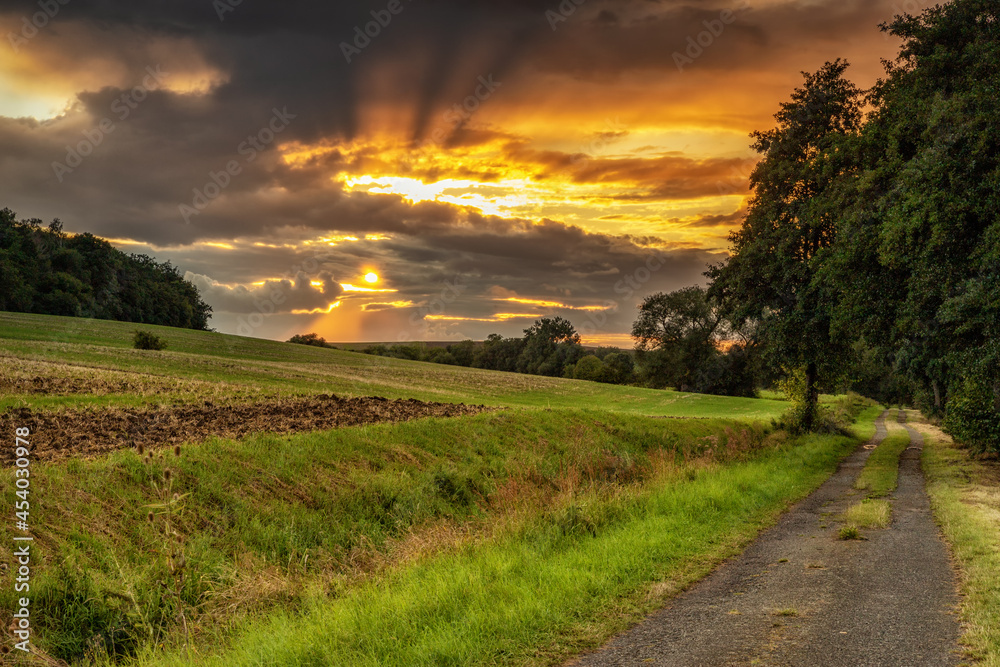 Fototapeta premium Stimmungsvoller Sonnenuntergang