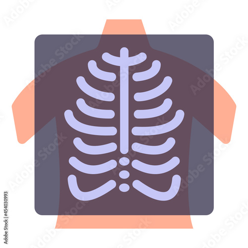 X Ray 

