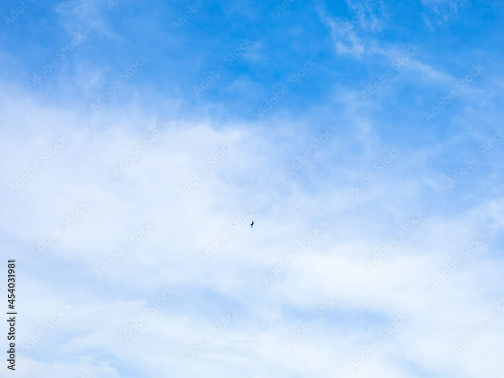 Beautiful bright blue sky by panorama view. Summer make strong sunlight clear air good environment. Feeling to freedom of heaven as landscape background. Beautiful bright blue sky by panorama view. Summer make strong sunlight clear air good environment. Feeling to freedom of heaven as landscape background.