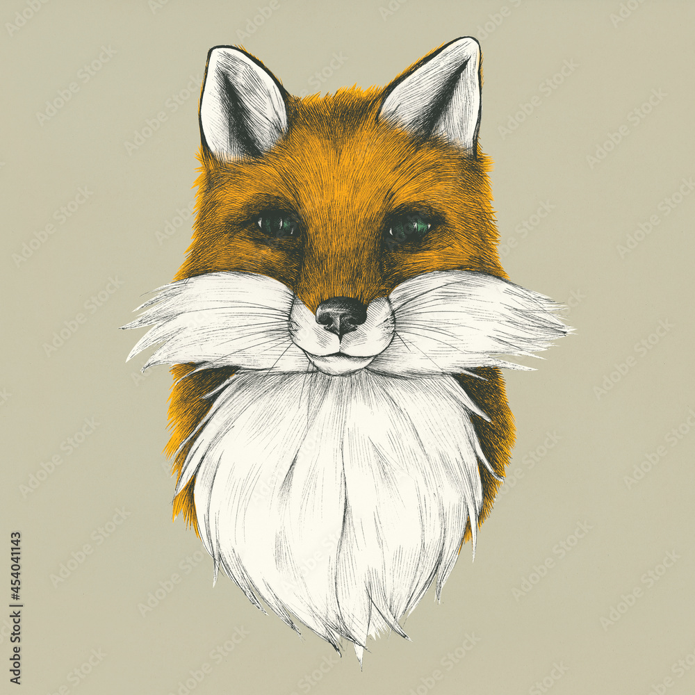 Fototapeta premium Hand drawn fox isolated on background