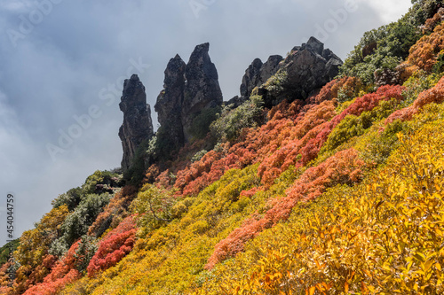 【北海道】大雪山黒岳の紅葉