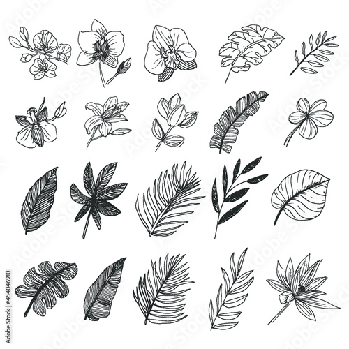 Natural leaf and flower wild forest collection line art