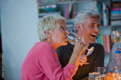 Older friends drinking wine