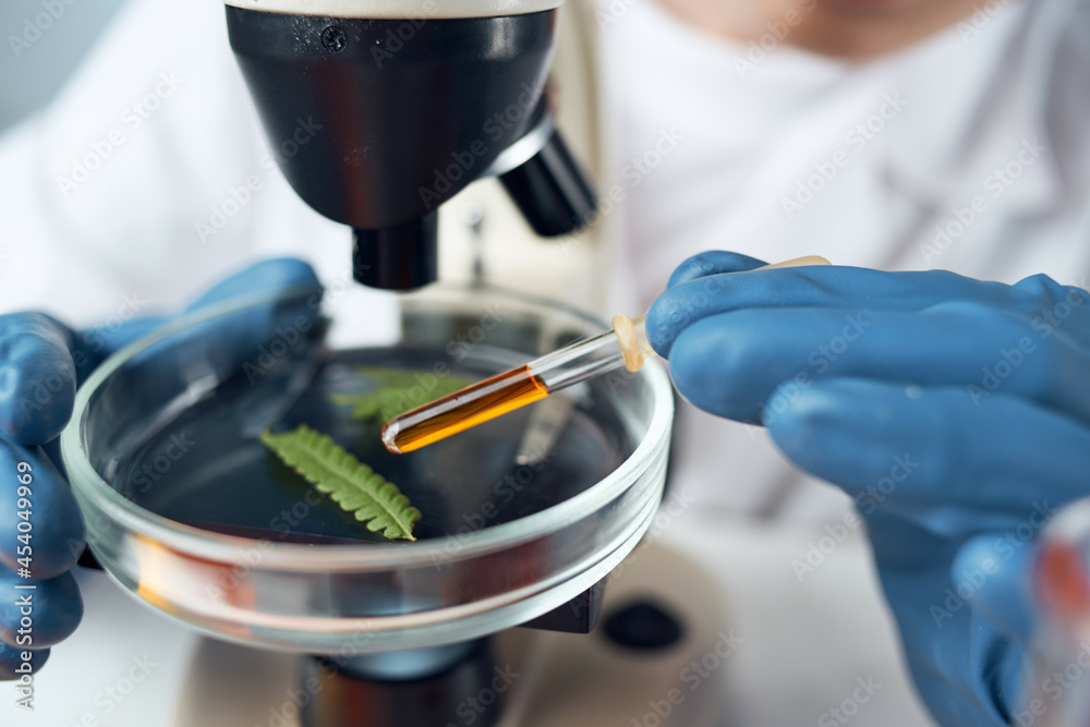 female laboratory assistant arranging spectroscope research science biotechnology female laboratory assistant arranging spectroscope research science biotechnology
