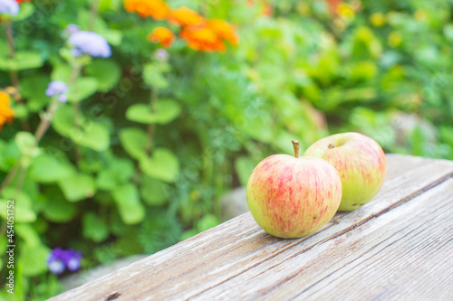 Two fresh apples lie on a wooden surface against the background of blooming flowers.. Healthy food concept
